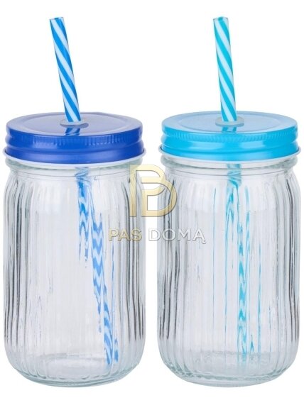 ALPINA gertuvė su šiaudeliu 500 ml
