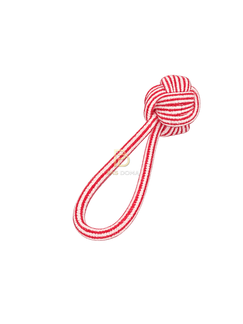 Virvinis žaislas šunims 21 cm 4