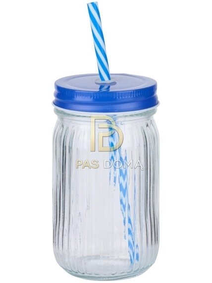 ALPINA gertuvė su šiaudeliu 500 ml 1